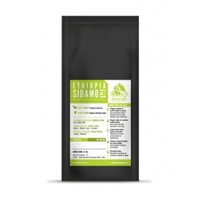 Casa del Caffé Zrnková káva ETIOPIE SIDAMO gr. 2 1 kg